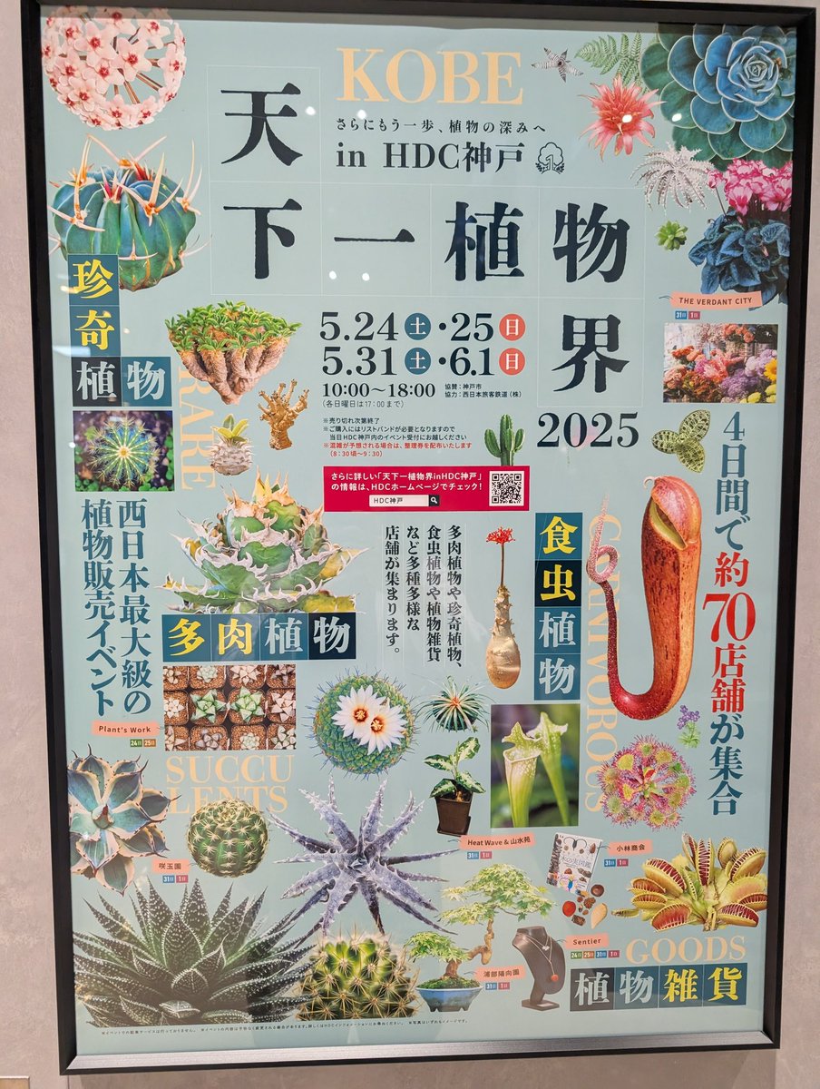 munmunshrimp's tweet image. えびの宴🦐と草の宴🌿

坐骨神経痛に引き続き腎臓でバハムート級の魔石作り出す事に成功🐍

シュリンプアワード来週からです🦐
写真撮れたら出します、写真撮る姿勢がキツ🤢

天下一植物界
1週目は単独、2週目はオリオンさん@Orion07614970 と行ってきました。
初週でくじ運使い果たしたみたいです。