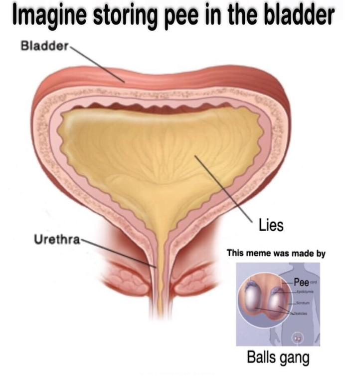 dbyrd 🅅 tweet media