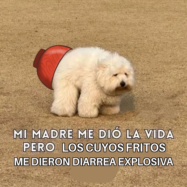 DarkHunter2021's tweet image. Al fin ayudas en algo entonces XD