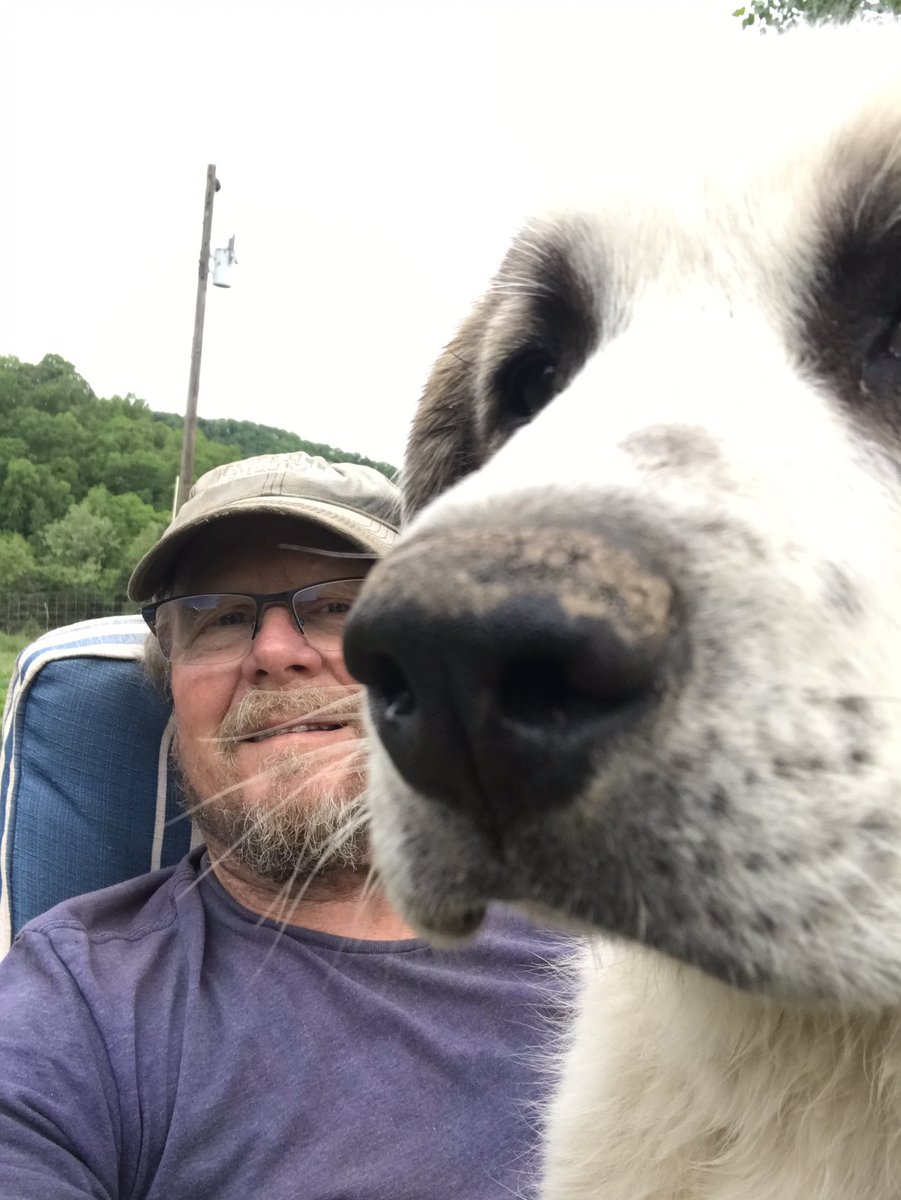 Greg Suki🇺🇸🇺🇸🐄🐮🤠🪖🎖 (@gpsuki) on Twitter photo 