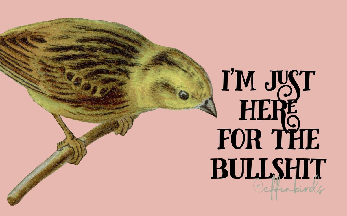 Effin' Birds (@effinbirds) on Twitter photo 