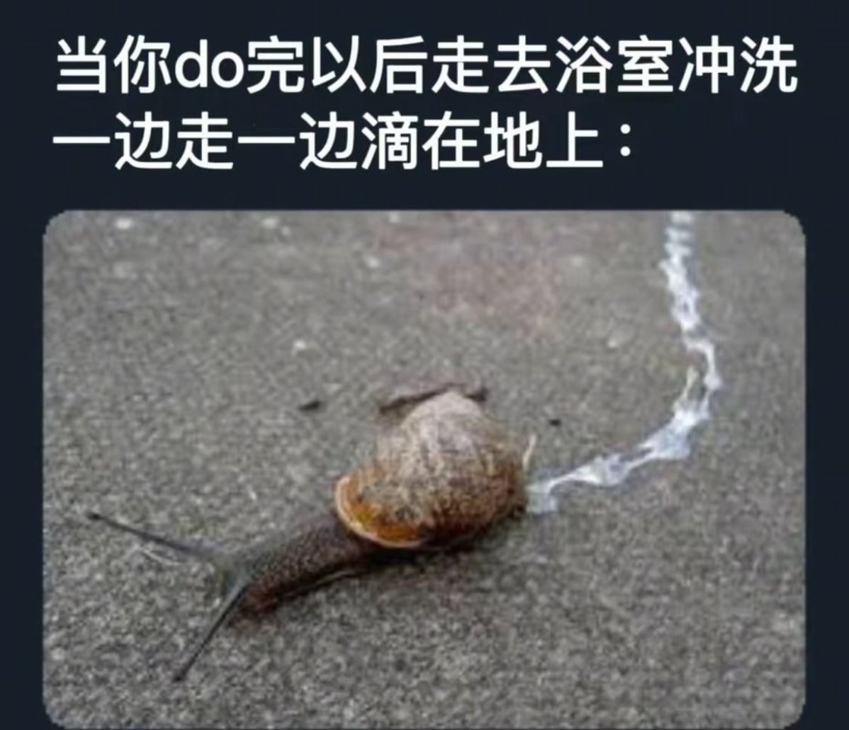 ciwei1137's tweet photo. 没戳 我们水娃星人是这样的 边走边滴 🤤#第四爱 #四爱小狗 #4i https://t.co/7G5InFbx43