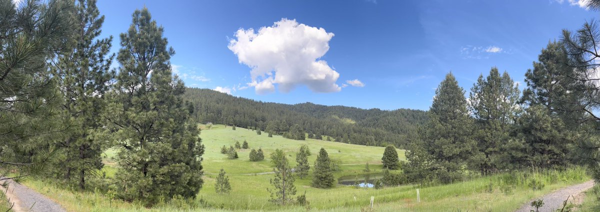 Thomas Ford Jr (@coachtford) on Twitter photo Views from the Scow‼️ Can’t wait for another BIG TIME weekend for <a href="/VandalFootball/">Idaho Football</a> #VzUp✌️⬆️ Views from the Scow‼️ Can’t wait for another BIG TIME weekend for <a href="/VandalFootball/">Idaho Football</a> #VzUp✌️⬆️