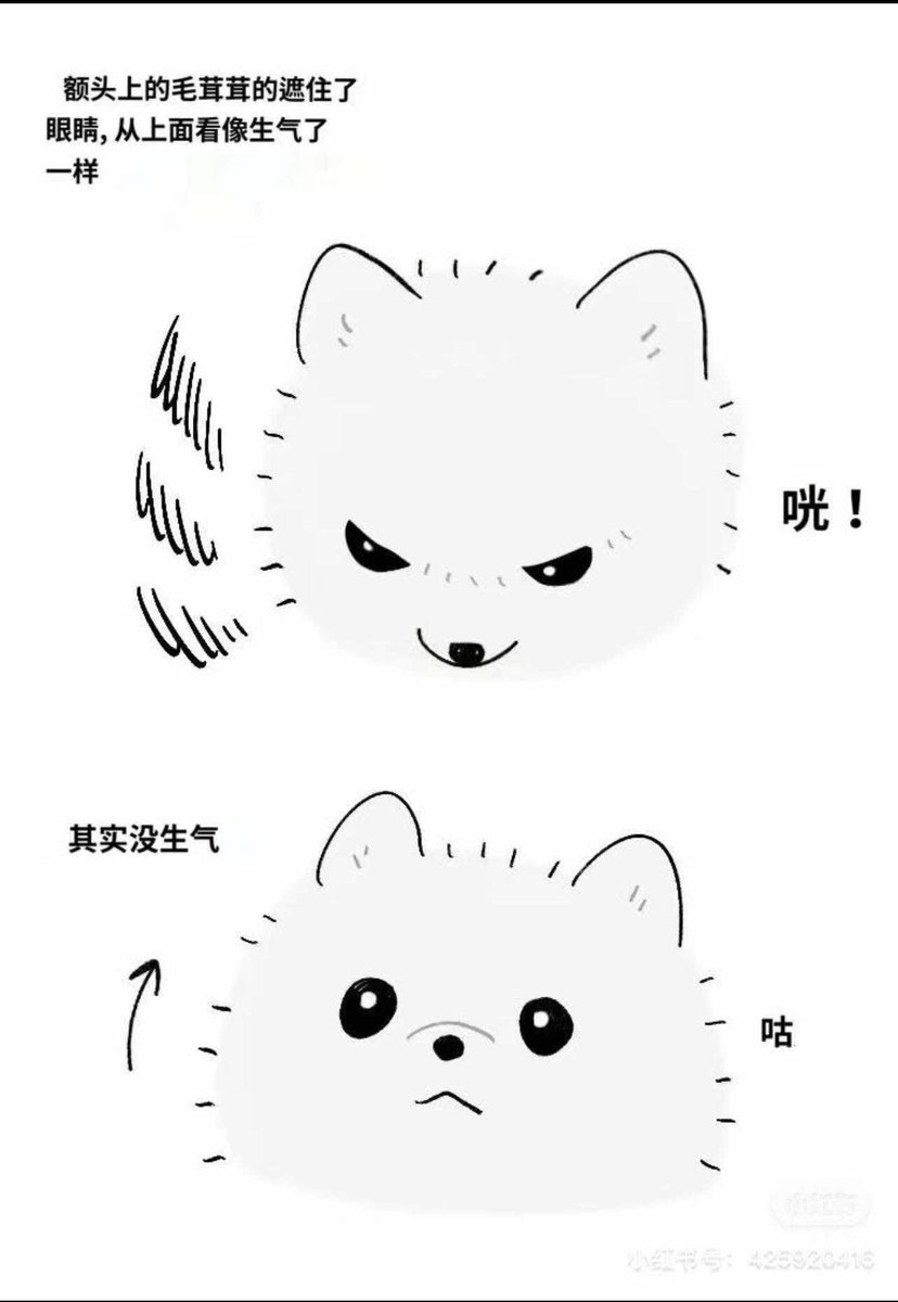 doado17's tweet photo. 只是看起來兇兇的
其實沒生氣啦（應該） https://t.co/0j1JO6DWy3