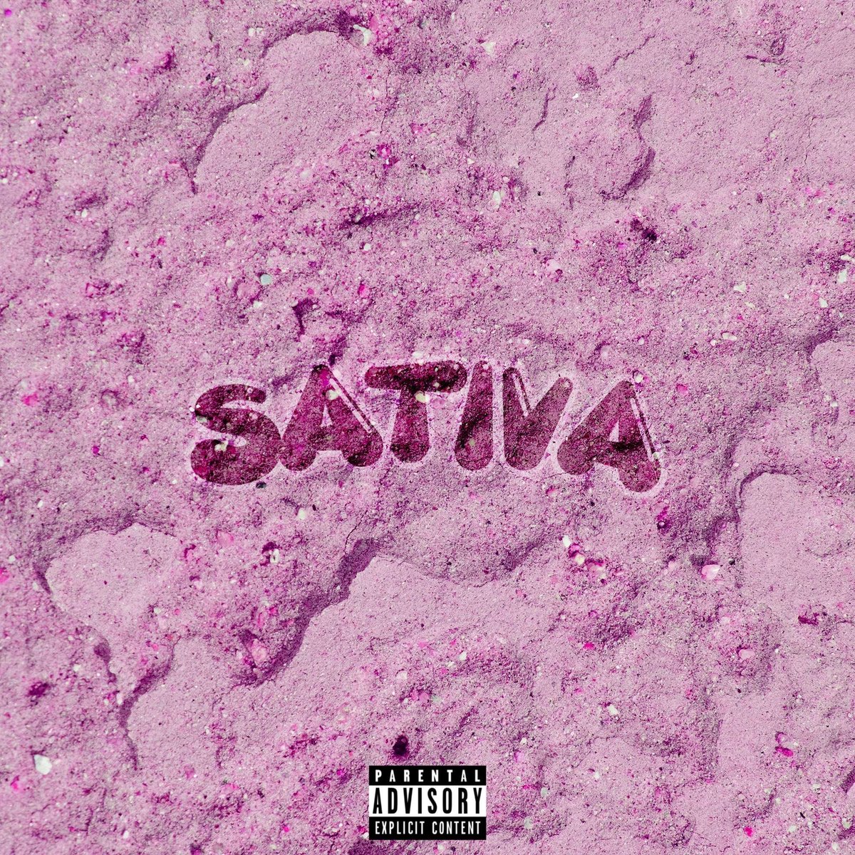 SATIVA
FIRST SINGLE OFF MY NEWEST PROJECT
JUNE 6
