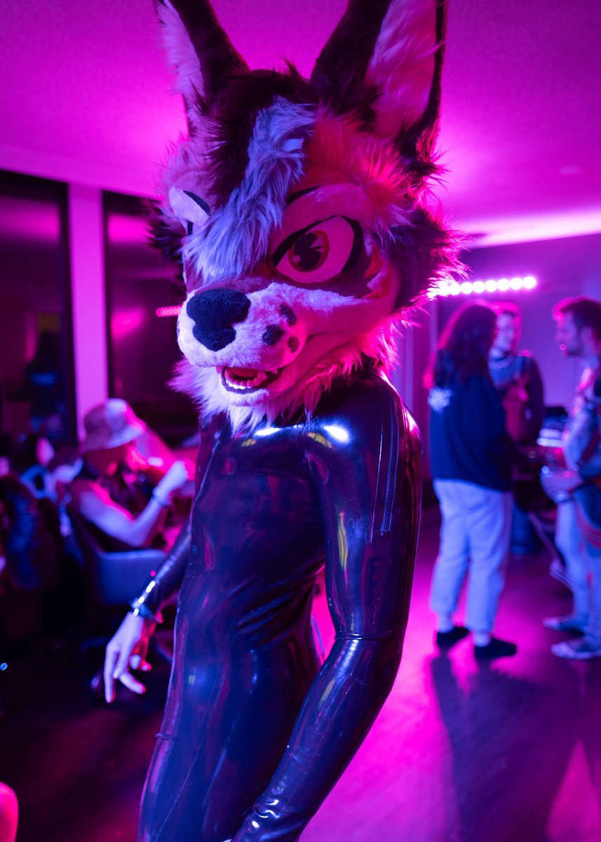 Dogged Dapper 🔜 LVFC tweet media