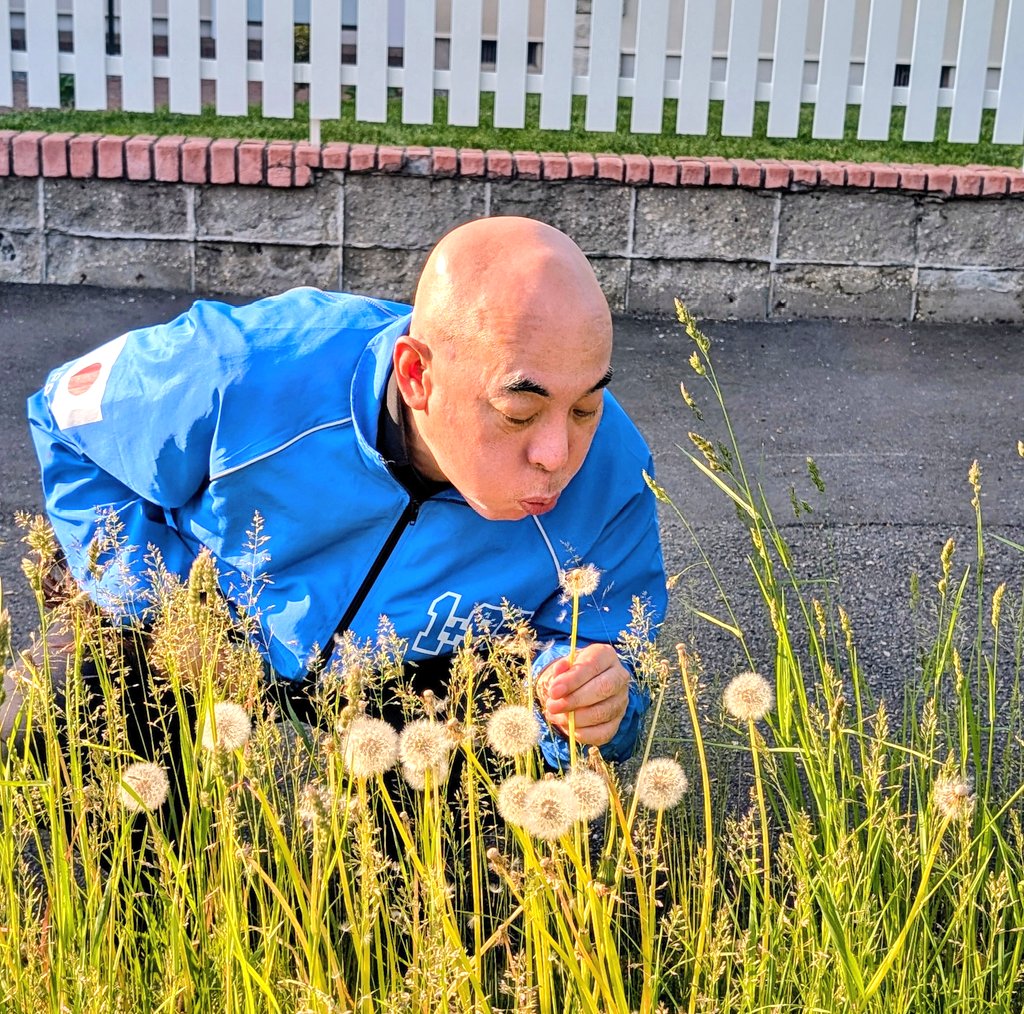 まさる支部長邸の前の歩道のタンポポの綿毛を吹かずにいられない代表