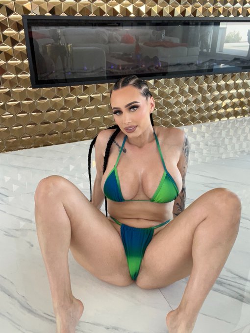 moneybirdette