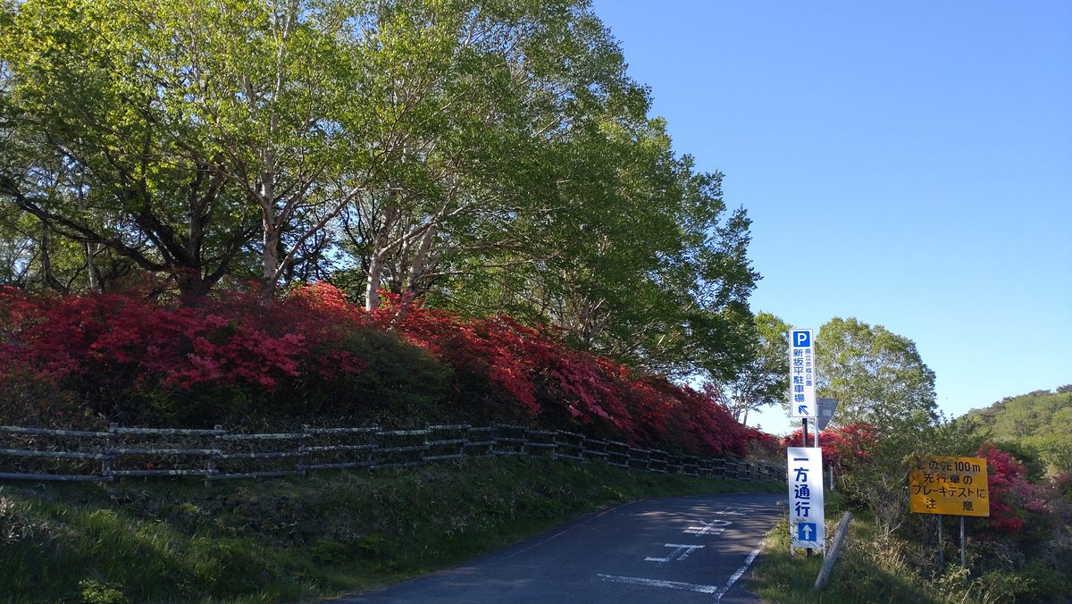 ao18719048's tweet photo. ☆赤城白樺牧場秘密の絶景ツアー
本日(6/5)も観光案内所9時30分受付、10時スタートです。普段は入れないエリア、素晴らしい空間で新緑とツツジを楽しみましょう🌺🚶🤳📷️😋✨️
#赤城白樺牧場秘密の絶景ツアー https://t.co/QWmm1njwTW