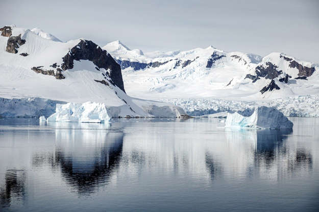 Antarctic News tweet media