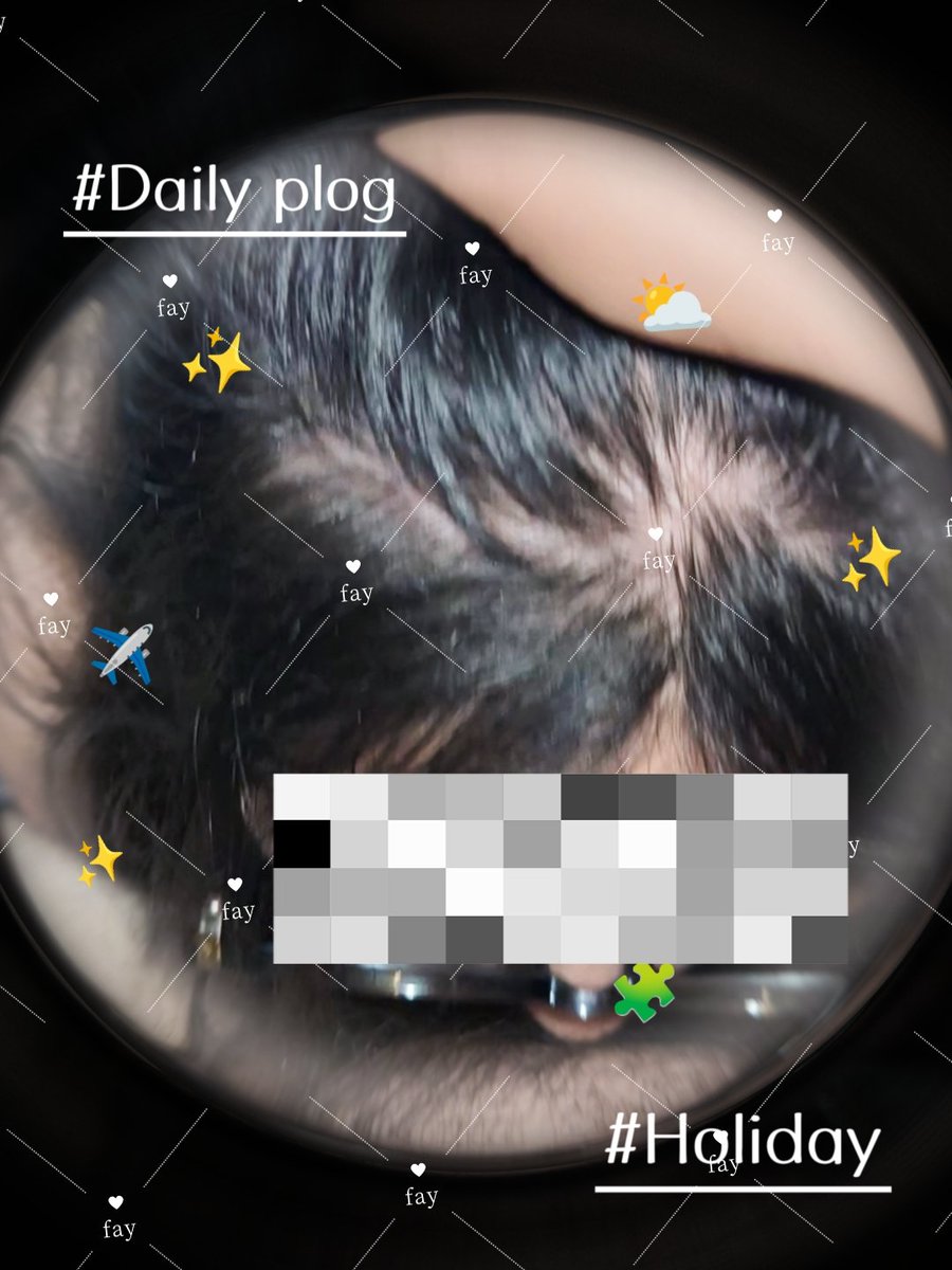 下贱傻逼刑奴母猪 tweet media