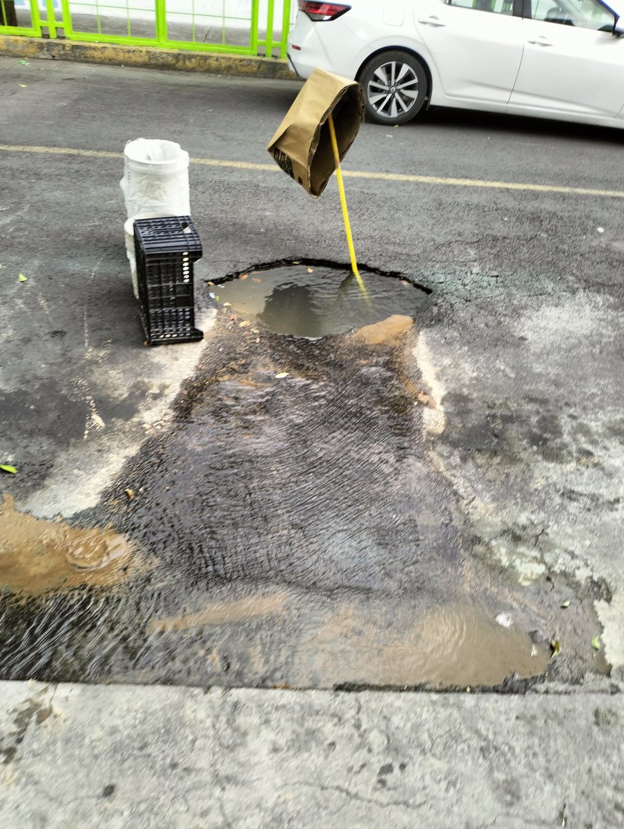 Mauricio Montaño tweet media