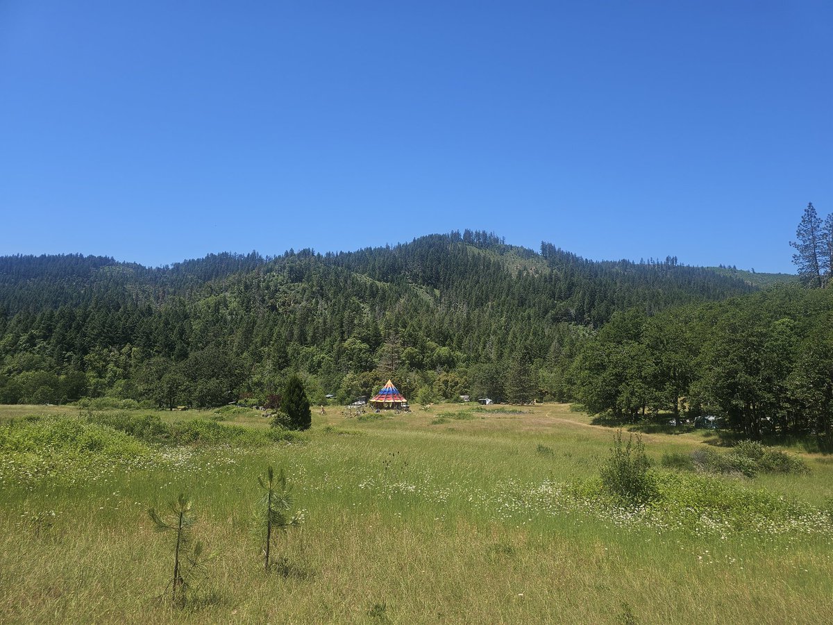 ZaxxAttaxby's tweet image. Radical Faerie Sanctuary - PDX PAH pup/creatures camp event was amazing
Learning more about the history of queer culture, the sanctuary, and finding a sense of community felt really validating and spiritually invigorating.