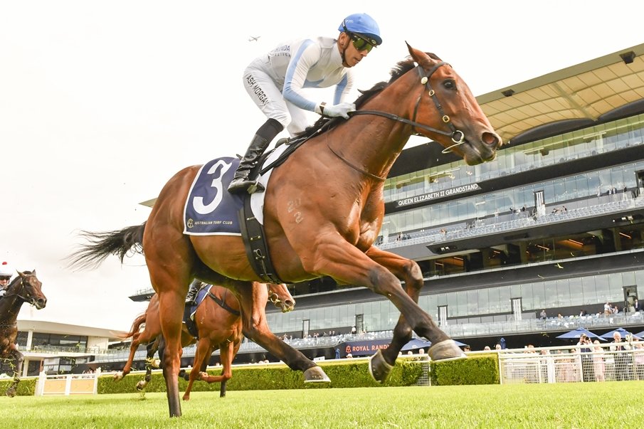 racing_nsw's tweet photo. “He showed us last start, even though it was in a maiden, what he’s been showing us at home."

Nathan Doyle hopes to see the benefit of a confidence boosting provincial win when Hidden Motive returns to Randwick on Saturday. 📸 @Bradley_Photos 

READ: https://t.co/IJlRLjz88b https://t.co/y6CL9xDjCL