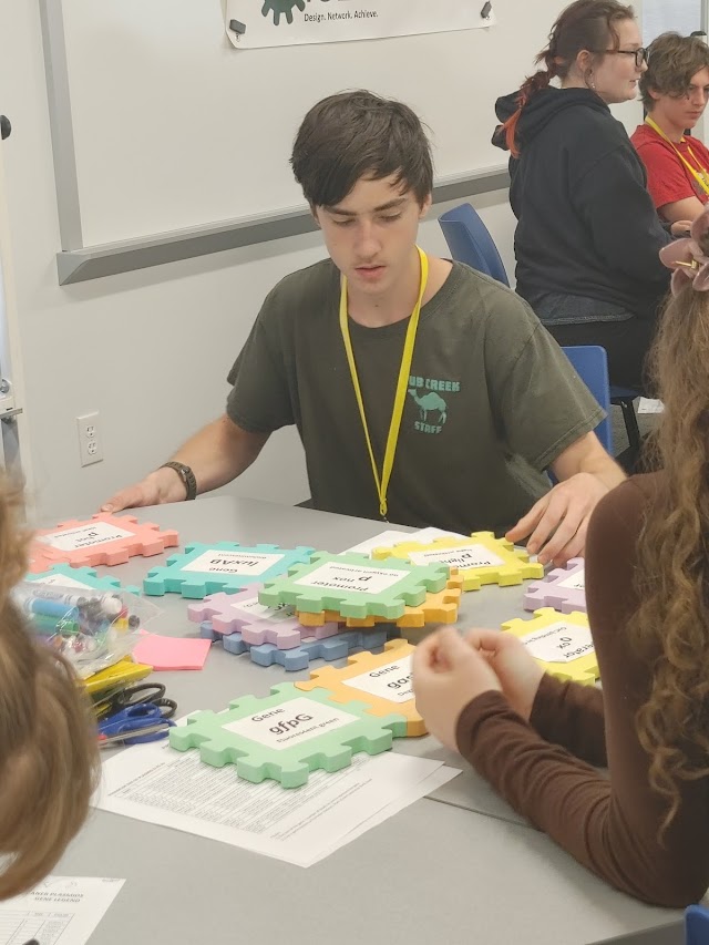 GermJuggler's tweet photo. Second full day of #EngineeringWithBiology camp. Kicking things off in the morning learning about biological "parts" to solve problems and activities to design systems to solve those problems. @MissouriSandT @sandtcase https://t.co/L5wtRmkee9