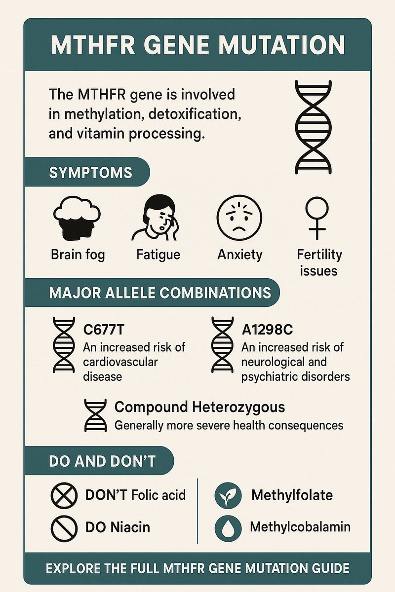 BioVitamins1's tweet photo. Ever feel constantly drained, foggy, or like your supplements just don’t work? The answer might be in your DNA.

🧬 The MTHFR gene mutation can affect how your body absorbs B vitamins, detoxes, manages mood, and even handles stress. But knowledge is power — once you understand your allele type, you can use targeted supplementation to finally feel better.

I’ve mapped out 9 common MTHFR mutation combinations and paired each with a methylated supplement that works with your biology, not against it.

Here’s the cheat sheet ⬇

• C677T: CC + A1298C: AA
Pure Encapsulations B-Complex Plus
https://t.co/D1dsEiRkL4

• C677T: CT + A1298C: AA
Jarrow Formulas B-Right
https://t.co/lN1lknF9BG

• C677T: TT + A1298C: AA
Thorne Basic B Complex
https://t.co/ByPl1hCvan

• C677T: CC + A1298C: AC
Garden of Life Raw B Complex
https://t.co/GsgvwbpMUM

• C677T: CC + A1298C: CC
Klaire Labs B Complex Plus
https://t.co/frAcBmGqU4

• C677T: CT + A1298C: AC
Pure Therapro Methyl Active B
https://t.co/cIRchPn14c

• C677T: TT + A1298C: AC
Methylated B Complex 9-in-1
https://t.co/qIyxL63AMe

• C677T: CT + A1298C: CC
Klaire Labs B Complex Plus
https://t.co/frAcBmGqU4

• C677T: TT + A1298C: CC
Seeking Health Optimal Multivitamin
https://t.co/duvrWYNnHQ

🧬 For the full breakdown and details:
https://t.co/mIR9skYI8j…

⸻

Hashtags:
#MTHFR #GeneMutation #Epigenetics #MethylationSupport #Biohacking #Nutrigenomics #GeneticHealth #FunctionalMedicine #MentalHealthSupport #FatigueRecovery #WellnessTools

⸻

Affiliate Disclaimer: Some links in this post are affiliate links, which means I may earn a small commission — at no extra cost to you — if you make a purchase. Your support helps me continue sharing free, research-based health content.