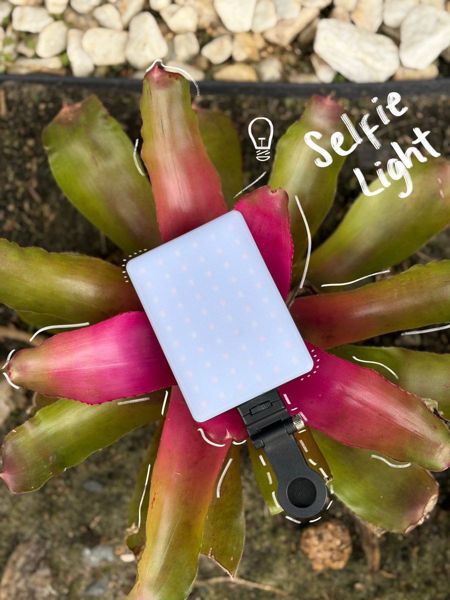 andreah_ugc's tweet image. These are some of my MUST haves when it comes to creating content 🤞🏽

What are your favorite tools? 👀

#contentcreator #contentcreatortools 
#orlandocontentcreator #creatortools #creatortips #ugc