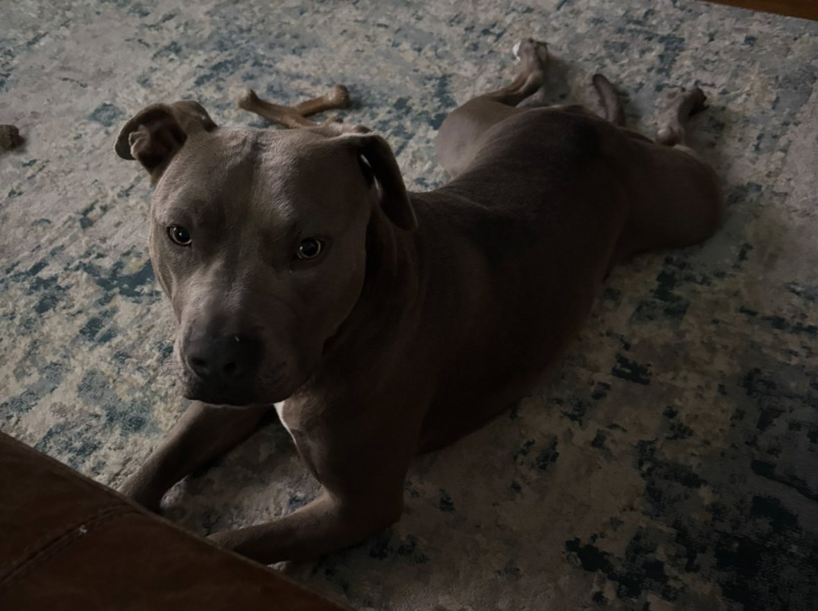 MophiaLVR's tweet photo. Splooty Spice
#SplootySpice
#StellaSploot https://t.co/P9EONf3ku2