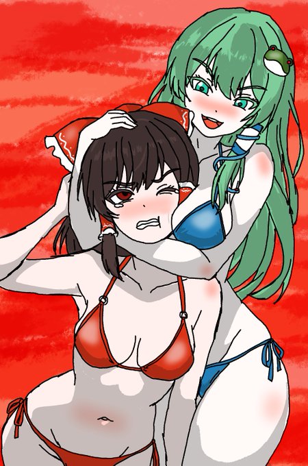 「幻想郷に巫女は二人もいりません」
そう言って早苗さんは、霊夢さんの首を締め続けました。 