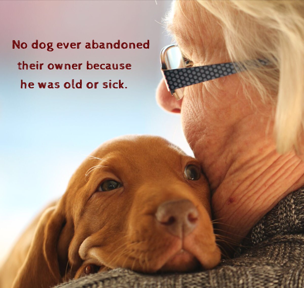 GratitudeSoup (@gratitudesoup) on Twitter photo 