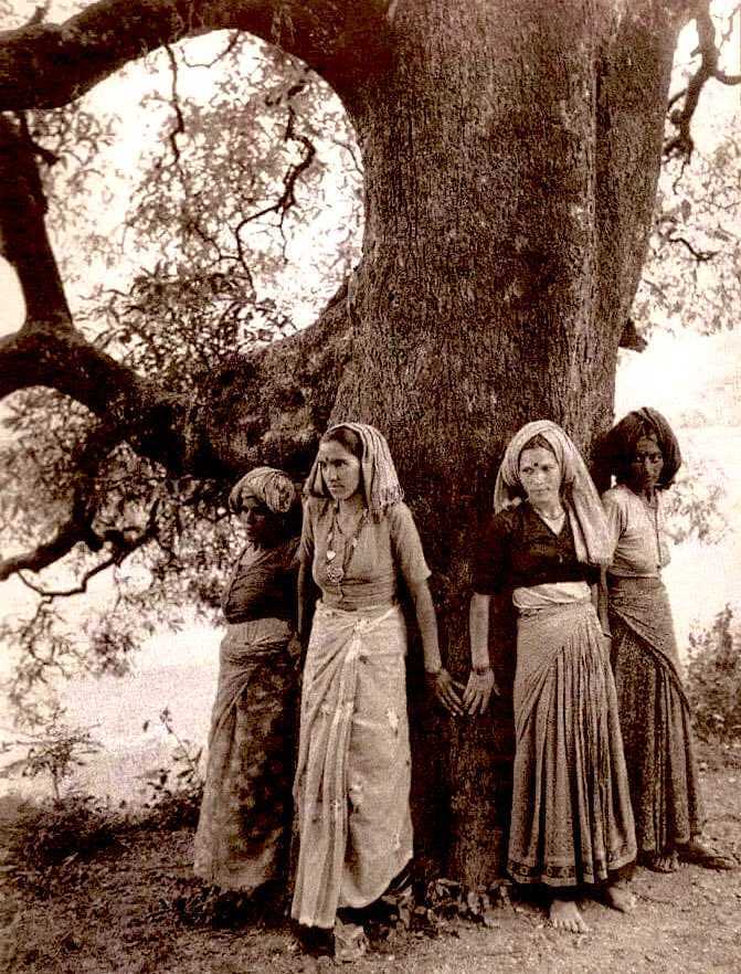 #WorldEnvironmentDay
#WorldEnvironmentDay