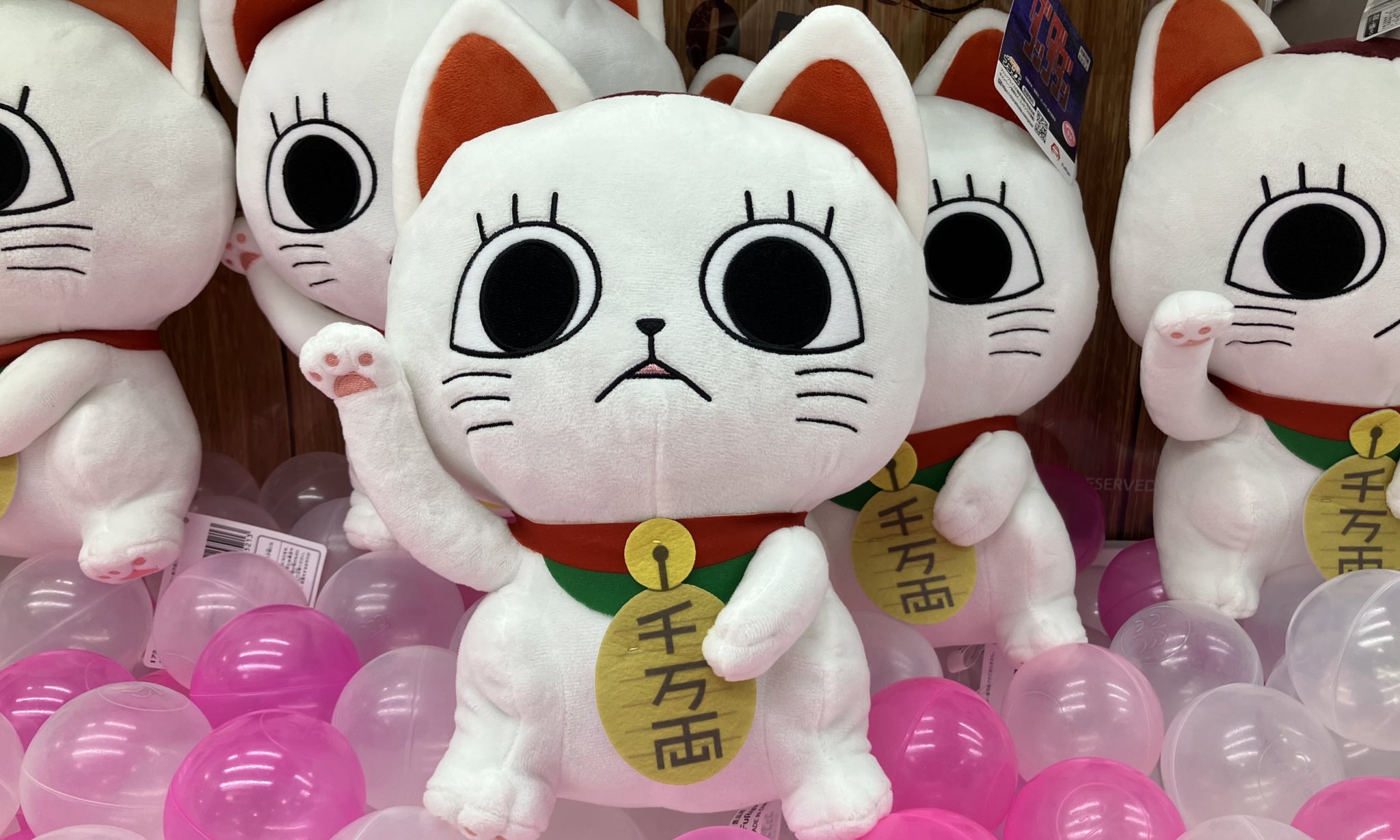 タイステ衣山店 on X: 