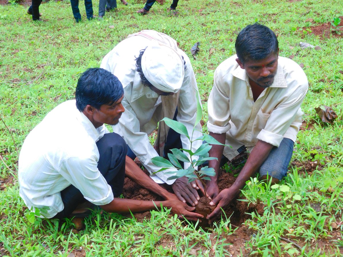 🌍 400M+ tons of plastic are produced each year. It’s harming oceans, wildlife &amp; our health.

But there’s hope 
With #Tarumitra &amp; #MPSM, JRDS is fighting plastic pollution with tree planting, eco-awareness &amp; action!
Take the pledge.
#WorldEnvironmentDay #BeatPlasticPollution