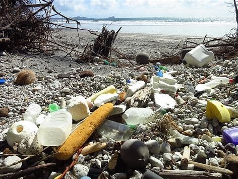 Plastic pollution permeates every corner of the planet. Approximately 11 million tonnes of plastic enters the ocean every year. 

World Environment Day 2025 calls for collective action to tackle plastic pollution.

Find out more👉️ourwaparks.org.au/world-environm…