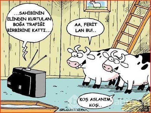 Geliyor Gelmekte Olan......