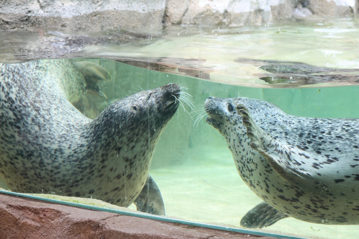 ひなたページ ヒナタ@脳溶け中🫠 (@Sihina3817) / X