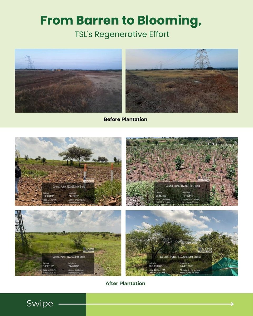TechknowgreenS's tweet image. From dust to forest 🌳
This #WorldEnvironmentDay, we’re proud to showcase our Miyawaki project with Cipla — restoring barren land into a thriving ecosystem.

Let’s keep pushing the #GenerationRestoration movement forward!
#Techknowgreen #LandRestoration #Sustainability