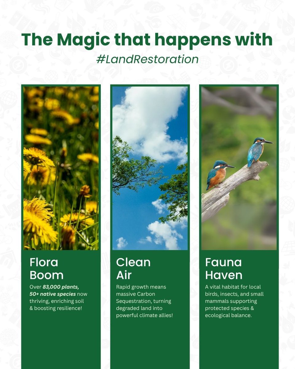 TechknowgreenS's tweet image. From dust to forest 🌳
This #WorldEnvironmentDay, we’re proud to showcase our Miyawaki project with Cipla — restoring barren land into a thriving ecosystem.

Let’s keep pushing the #GenerationRestoration movement forward!
#Techknowgreen #LandRestoration #Sustainability