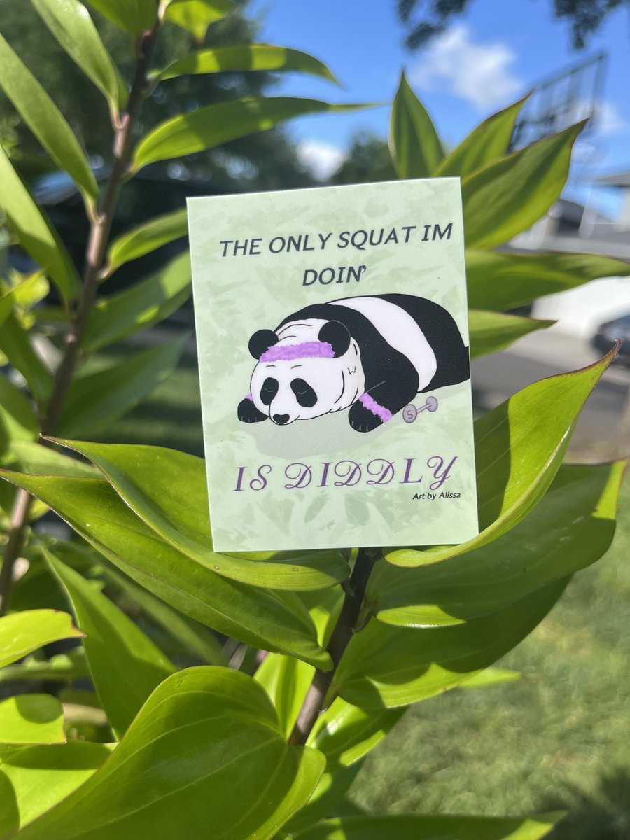 AlissaPodesta's tweet photo. The only squat I'm doin...Is diddly! 
New punny stickers now available! 🐼
https://t.co/Yugt9eMFaq https://t.co/CqqHCz7ob7