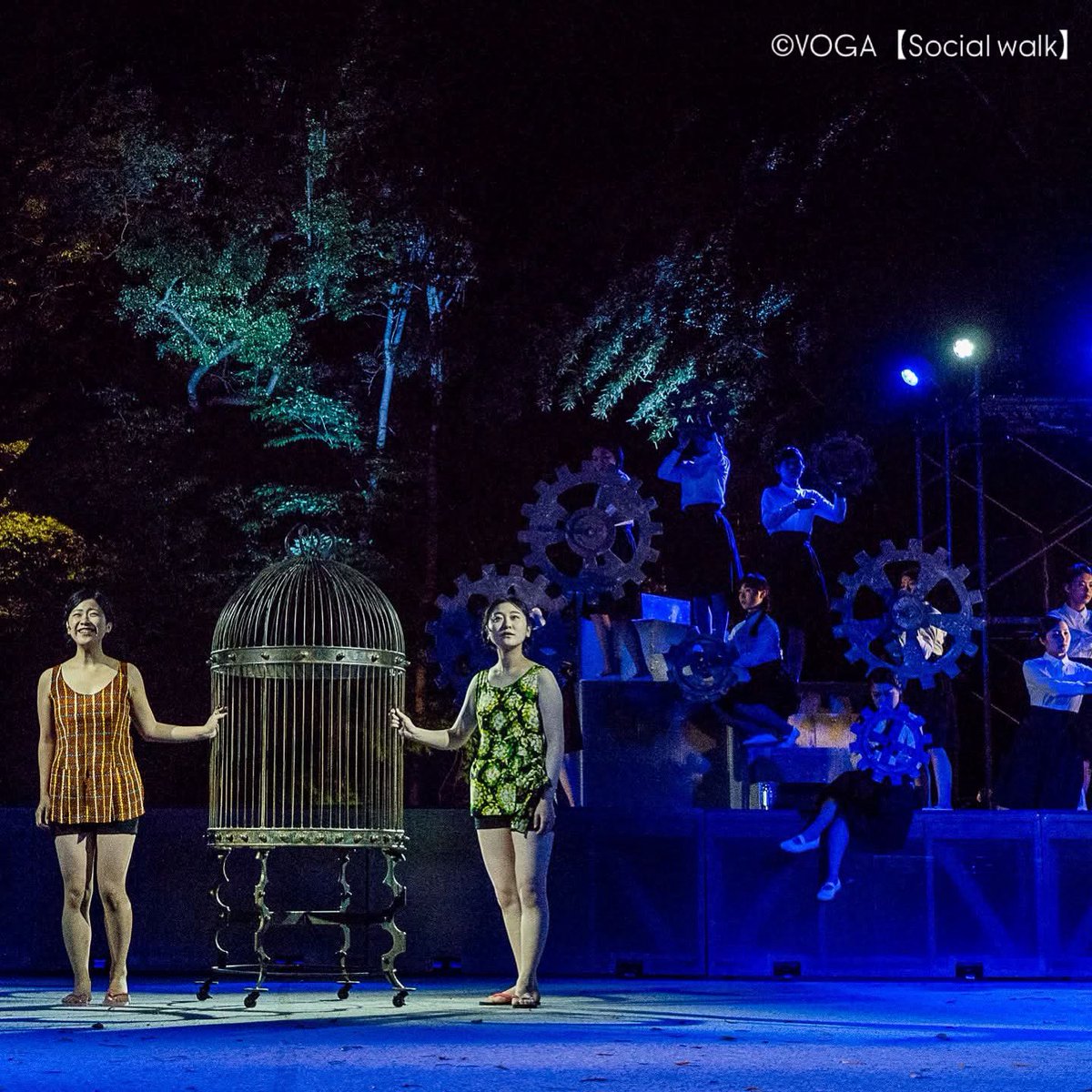 Scenes from VOGA.May they whisper to your imagination and linger in your thoughts.