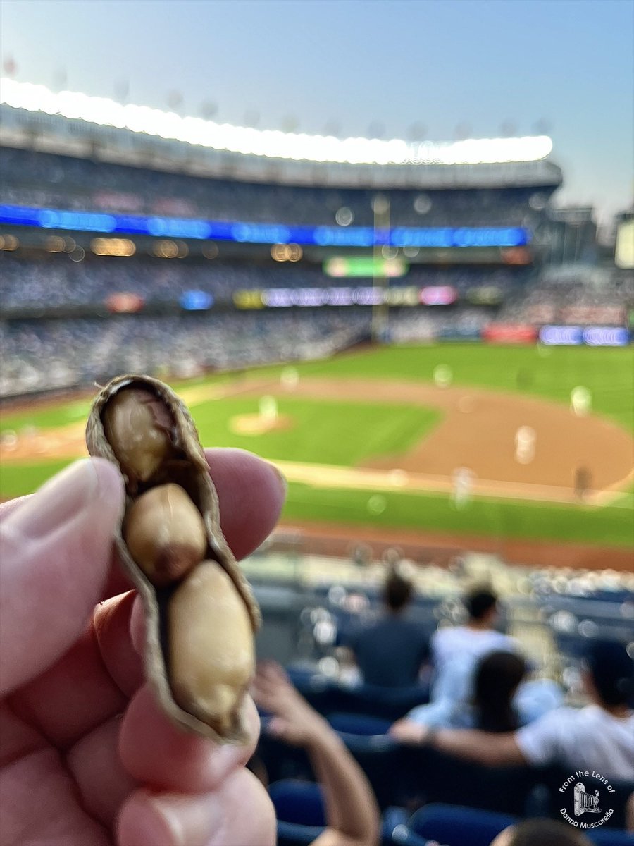 My first inside-the-park triple!  (I typically have my camera with me and don’t peanut ‘cuz getting shells in my camera bag wouldn’t be fun.)