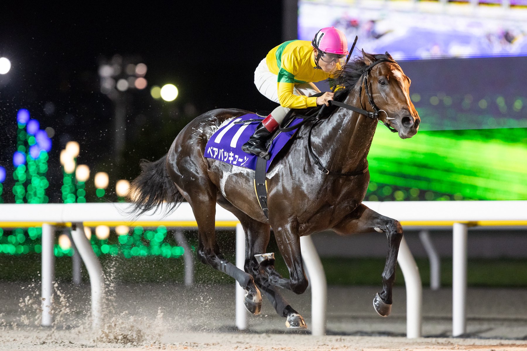 フランス競馬百年史 ギイ.チボー著 貴重