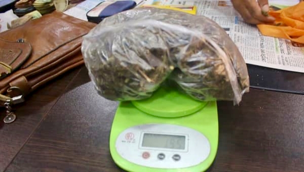 নওগাঁয় গাঁজাসহ কলেজছাত্রী গ্রেপ্তার