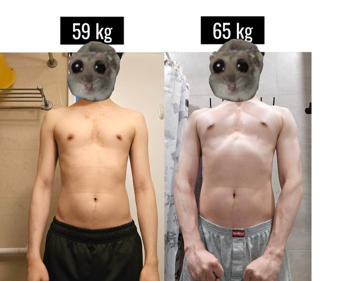 There are 2 things in life that will never betray you: enemies and muscles

After 3 months of going to the gym consistently and learning under Haru, I've made no enemies and gained muscles