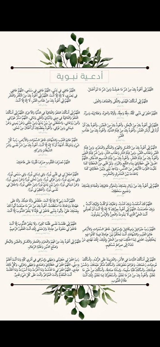 عادل بن مساعد البيضاني tweet media