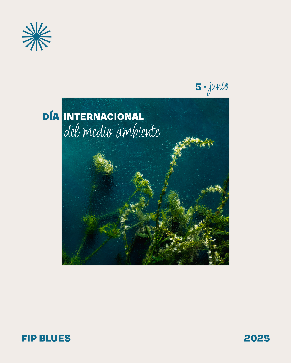 🌍💙 Celebremos el Día Mundial del Medio Ambiente 🌿 Cuidar del planeta es una responsabilidad de todos. Cada pequeño gesto cuenta: consumir de forma responsable, reducir residuos y proteger nuestros mares y bosques.