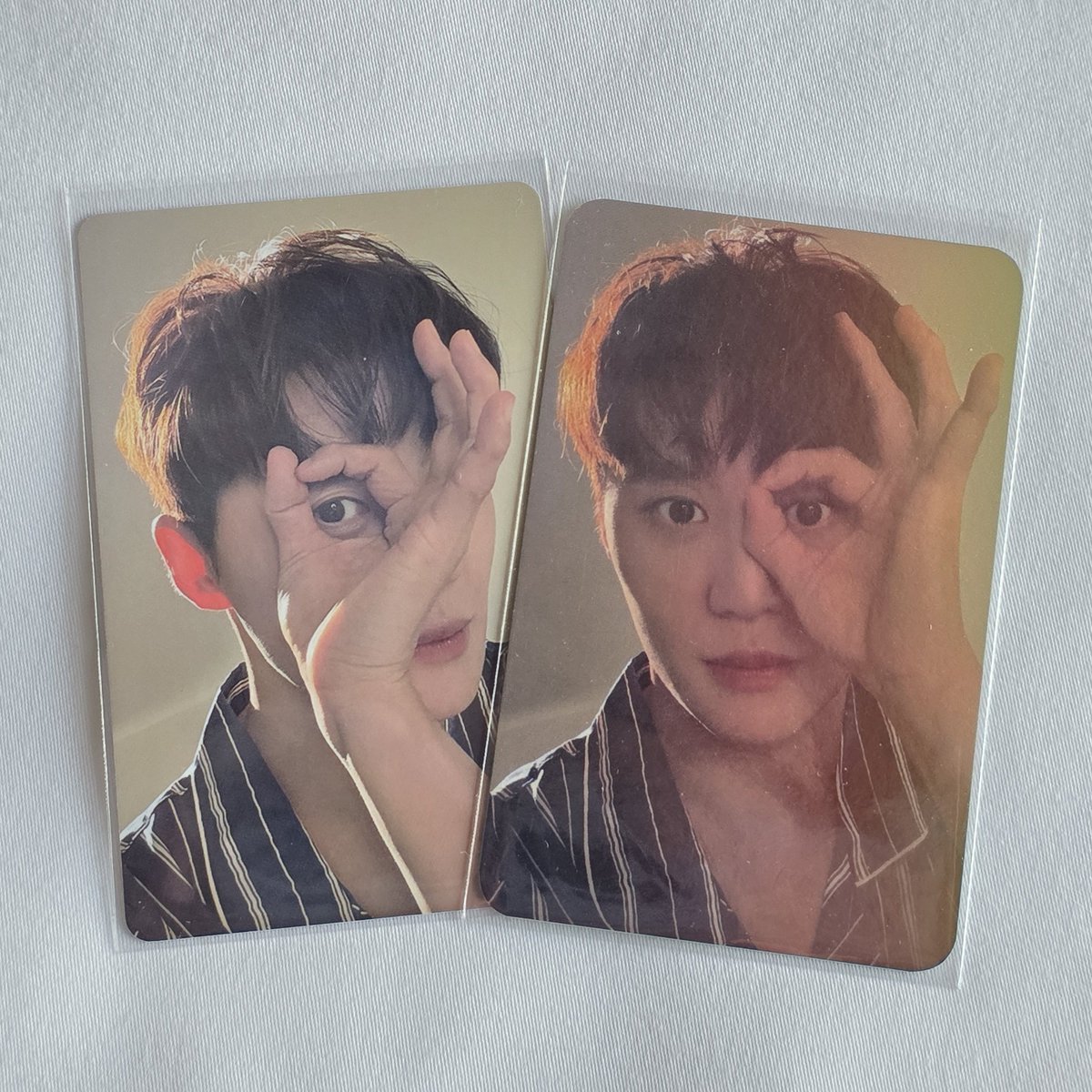 샤지트 일본 스페셜 포카 🥰👌🏻👌🏻