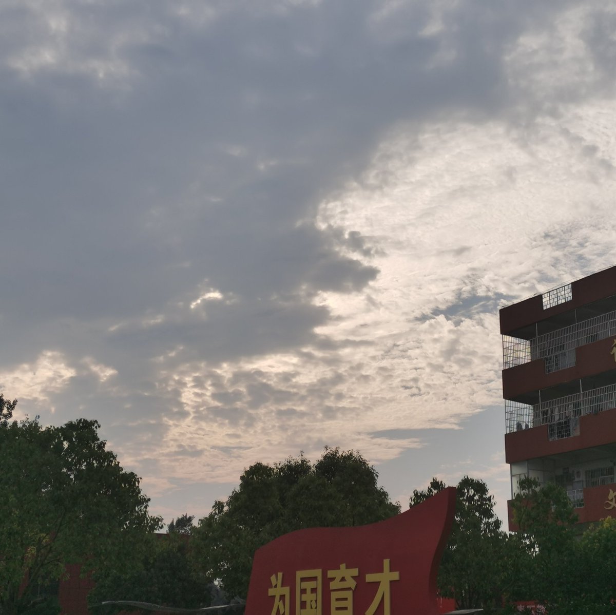 Applekernel1232's tweet image. 我一定会考走的。我发誓。