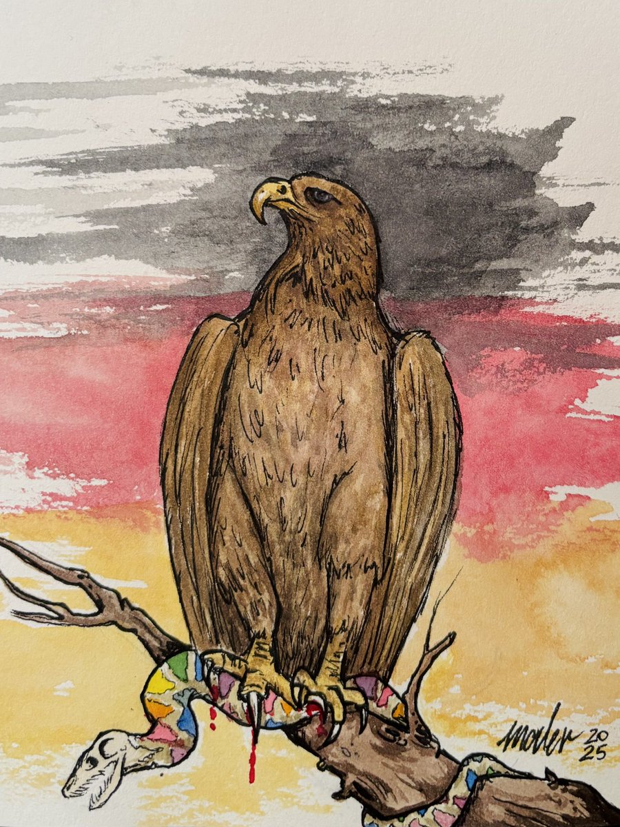 Konrad_Maler's tweet photo. Stolzer Adler, fette Beute! 
#deutschland #deutscheradler #antiwoke #patriot #Stolzmonat2025 https://t.co/O6VUBOeVvz