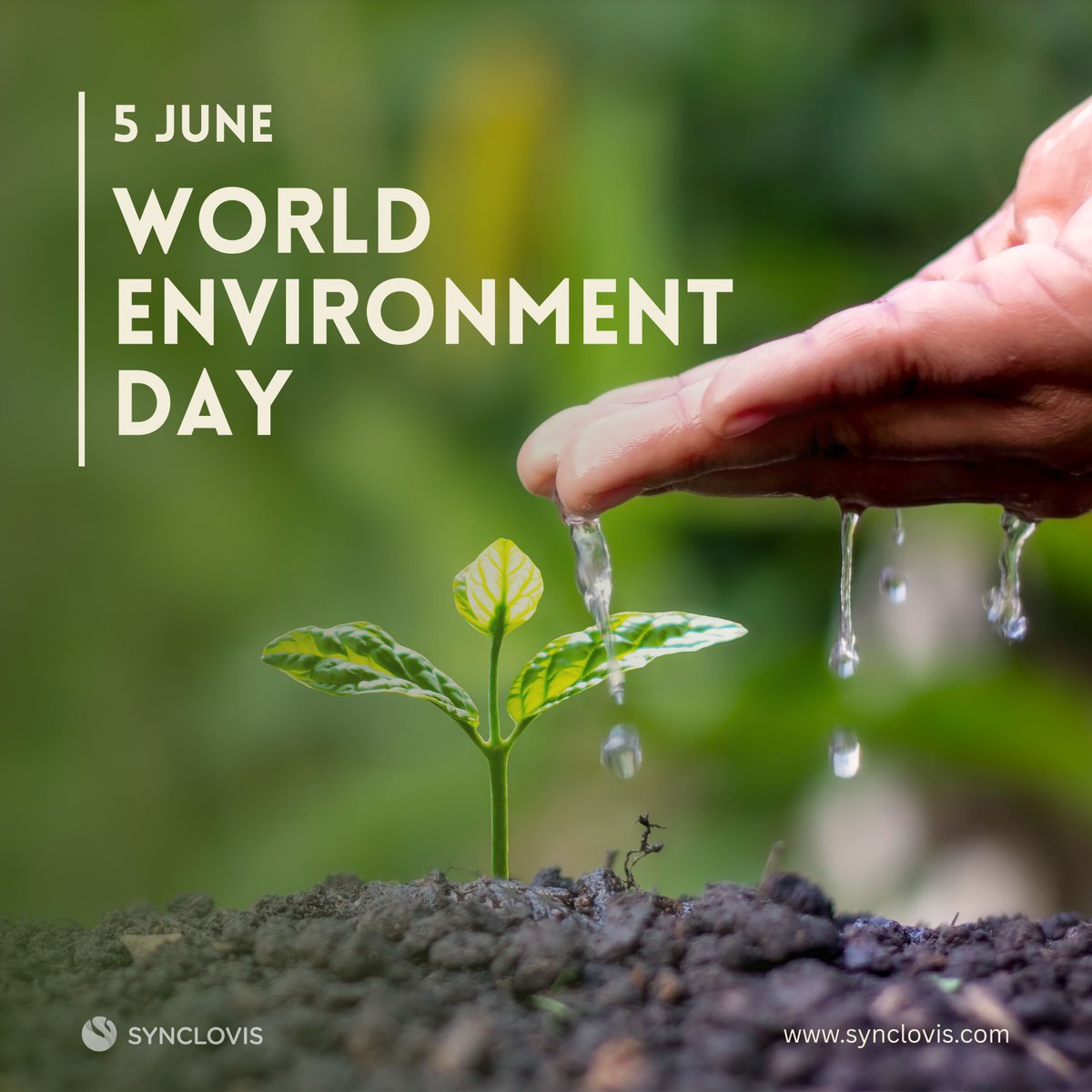 iamsynclovis's tweet photo. This World Environment Day, let’s not just talk green — let’s act green!
What’s one eco-friendly habit you swear by? Share it in the comments and inspire others!

#WorldEnvironmentDay #OnlyOneEarth  #GoGreen   #GreenFuture #EnvironmentMatters #BeatPlasticPollution #synclovis https://t.co/CPX8wj4cJD