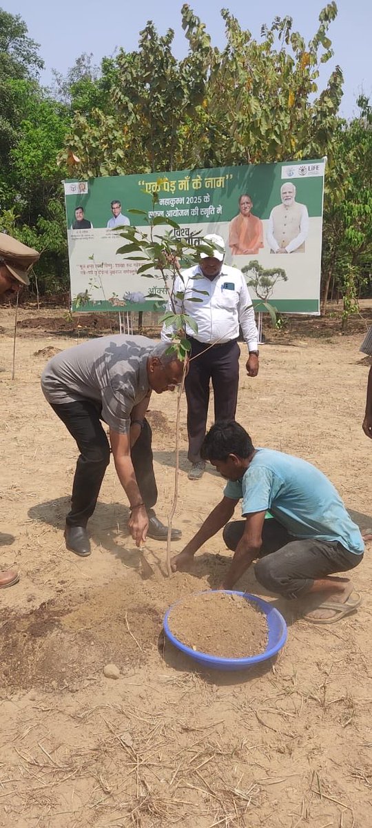 Celebrated World Environment Day by planting a jamun sapling. #worldenvironmentday2025 ⁦<a href="/moefcc/">MoEF&CC</a>⁩ ⁦<a href="/ntca_india/">National Tiger Conservation Authority</a>⁩