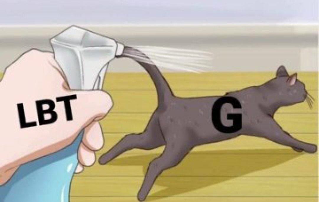 CelineAndC's tweet image. 