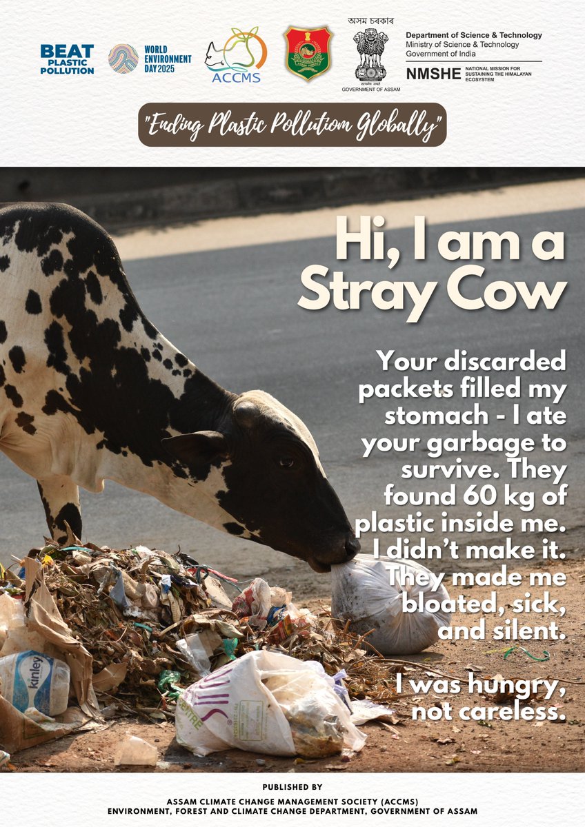 Assam Climate Change Management Society (ACCMS) (@accmsociety) on Twitter photo Stray cows consume plastic from garbage. Some carry 50+ kg in their stomachs.
Clean surroundings protect animals and people.
#BeatPlasticPollution #WED2025 #ACCMS <a href="/CMOfficeAssam/">Chief Minister Assam</a> <a href="/cmpatowary/">Chandra Mohan Patowary</a> <a href="/moefcc/">MoEF&CC</a> <a href="/IndiaDST/">DSTIndia</a> <a href="/mkyadava/">mkyadava</a> <a href="/manirizwan/">Rizwan Uz Zaman, Phd</a> <a href="/Hirdesh59160599/">Hirdesh</a> Stray cows consume plastic from garbage. Some carry 50+ kg in their stomachs.
Clean surroundings protect animals and people.
#BeatPlasticPollution #WED2025 #ACCMS <a href="/CMOfficeAssam/">Chief Minister Assam</a> <a href="/cmpatowary/">Chandra Mohan Patowary</a> <a href="/moefcc/">MoEF&CC</a> <a href="/IndiaDST/">DSTIndia</a> <a href="/mkyadava/">mkyadava</a> <a href="/manirizwan/">Rizwan Uz Zaman, Phd</a> <a href="/Hirdesh59160599/">Hirdesh</a>