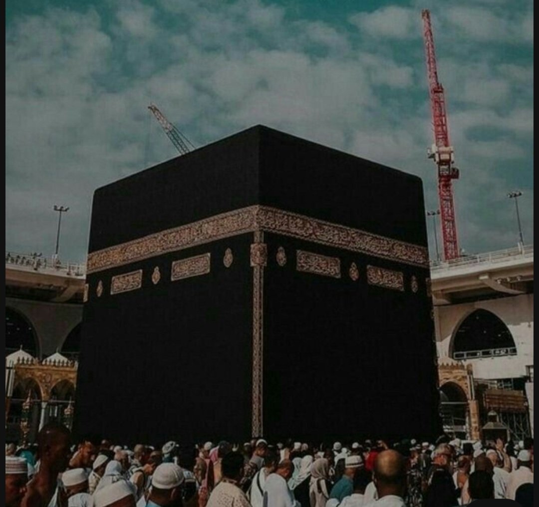 حوُر 🕊 tweet media