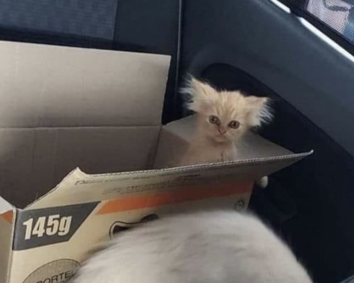 So is there an official support group for people who have been personally victimized by Bring Her Back orrrrr whatr we doin (complimentary)