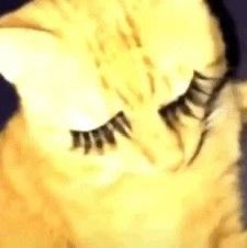 Todos son tan pesados conmigo